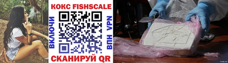 COCAIN Fish Scale  Пудож 